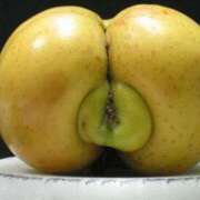 ヒメ日記 2025/03/19 00:14 投稿 明菜（あきな） ビッグバード