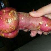 ヒメ日記 2025/03/19 22:44 投稿 明菜（あきな） ビッグバード