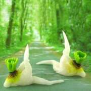 ヒメ日記 2025/03/21 21:54 投稿 明菜（あきな） ビッグバード