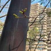 ヒメ日記 2025/03/23 15:44 投稿 明菜（あきな） ビッグバード