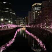 ヒメ日記 2025/03/24 23:24 投稿 明菜（あきな） ビッグバード