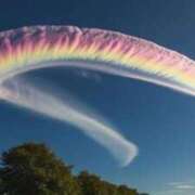 ヒメ日記 2025/03/25 09:52 投稿 明菜（あきな） ビッグバード