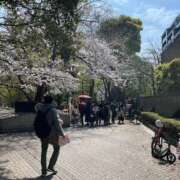 ヒメ日記 2025/03/30 14:24 投稿 明菜（あきな） ビッグバード