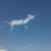 ヒメ日記 2025/04/12 14:58 投稿 明菜（あきな） ビッグバード