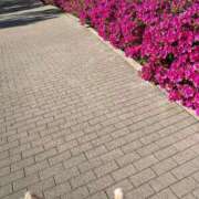 ヒメ日記 2025/05/15 14:14 投稿 明菜（あきな） ビッグバード