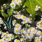 ヒメ日記 2025/05/20 12:24 投稿 明菜（あきな） ビッグバード