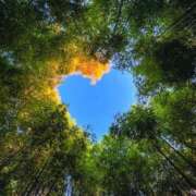 ヒメ日記 2025/06/09 15:45 投稿 明菜（あきな） ビッグバード