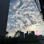 ヒメ日記 2025/06/19 15:04 投稿 明菜（あきな） ビッグバード