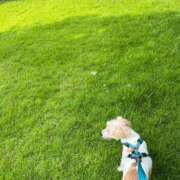 ヒメ日記 2025/07/03 11:14 投稿 明菜（あきな） ビッグバード