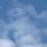 ヒメ日記 2025/08/25 16:24 投稿 明菜（あきな） ビッグバード