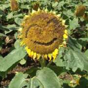 ヒメ日記 2025/09/02 12:05 投稿 明菜（あきな） ビッグバード