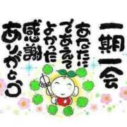 ヒメ日記 2025/11/17 12:24 投稿 明菜（あきな） ビッグバード