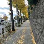 ヒメ日記 2025/11/18 15:24 投稿 明菜（あきな） ビッグバード