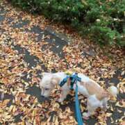 ヒメ日記 2025/11/25 15:16 投稿 明菜（あきな） ビッグバード