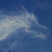 ヒメ日記 2025/11/27 09:34 投稿 明菜（あきな） ビッグバード