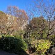 明菜（あきな） こんばんは😊 ビッグバード