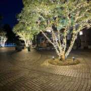 ヒメ日記 2025/12/25 19:54 投稿 明菜（あきな） ビッグバード