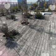 ヒメ日記 2026/01/25 15:34 投稿 明菜（あきな） ビッグバード