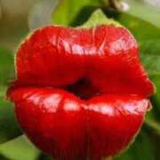 ヒメ日記 2026/01/26 18:34 投稿 明菜（あきな） ビッグバード