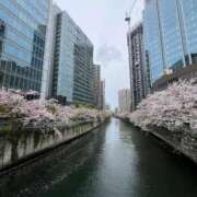 明菜（あきな） 有難う御座いました🙇‍♀️ ビッグバード