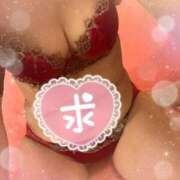 明菜（あきな） こんにちは🤗 ビッグバード