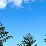 ヒメ日記 2026/04/26 12:45 投稿 永瀬るい 奴隷志願！変態調教飼育クラブ梅田店