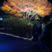 ヒメ日記 2025/12/11 19:21 投稿 りあ 脱がされたい人妻 宇都宮店