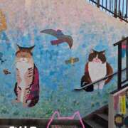 ヒメ日記 2025/01/16 16:08 投稿 みけこ 熟女の風俗最終章 八王子店