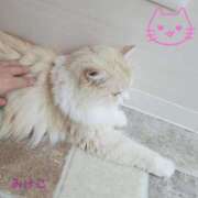 ヒメ日記 2025/02/22 21:33 投稿 みけこ 熟女の風俗最終章 八王子店