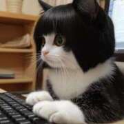 ヒメ日記 2025/04/20 10:46 投稿 みけこ 熟女の風俗最終章 八王子店