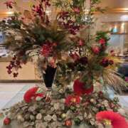 ヒメ日記 2025/12/29 04:53 投稿 みけこ 熟女の風俗最終章 八王子店