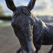 ヒメ日記 2026/01/06 08:56 投稿 みけこ 熟女の風俗最終章 八王子店