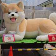 ヒメ日記 2025/02/01 10:24 投稿 みけこ 熟女の風俗最終章 立川店