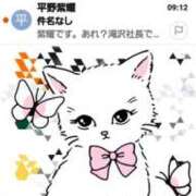 ヒメ日記 2025/03/22 09:53 投稿 みけこ 熟女の風俗最終章 立川店