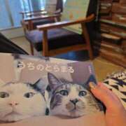 ヒメ日記 2025/04/10 12:05 投稿 みけこ 熟女の風俗最終章 立川店