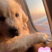 ヒメ日記 2025/05/07 12:53 投稿 みけこ 熟女の風俗最終章 立川店