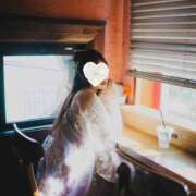 ヒメ日記 2025/03/03 12:31 投稿 月光まひな BLENDA V.I.P東京店