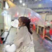 ヒメ日記 2025/03/09 12:31 投稿 月光まひな BLENDA V.I.P東京店