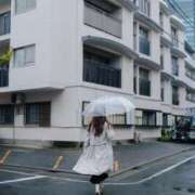 ヒメ日記 2025/03/11 18:30 投稿 月光まひな BLENDA V.I.P東京店