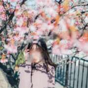 ヒメ日記 2025/03/12 18:30 投稿 月光まひな BLENDA V.I.P東京店