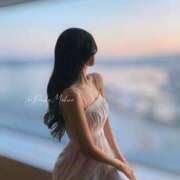 ヒメ日記 2025/04/16 15:25 投稿 月光まひな BLENDA V.I.P東京店