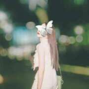 ヒメ日記 2025/11/25 21:31 投稿 月光まひな BLENDA V.I.P東京店