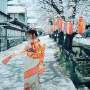 ヒメ日記 2026/01/05 19:51 投稿 月光まひな BLENDA V.I.P東京店