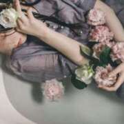 ヒメ日記 2026/02/06 18:01 投稿 月光まひな BLENDA V.I.P東京店