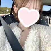 ヒメ日記 2025/02/19 18:56 投稿 星奈せいら BLENDA V.I.P東京店