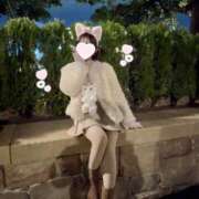 ヒメ日記 2025/03/13 01:22 投稿 星奈せいら BLENDA V.I.P東京店