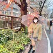 ヒメ日記 2025/04/04 12:36 投稿 星奈せいら BLENDA V.I.P東京店