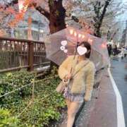 ヒメ日記 2025/04/13 12:23 投稿 星奈せいら BLENDA V.I.P東京店