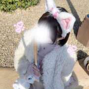 ヒメ日記 2025/04/22 03:43 投稿 星奈せいら BLENDA V.I.P東京店