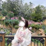 ヒメ日記 2025/04/25 04:09 投稿 星奈せいら BLENDA V.I.P東京店